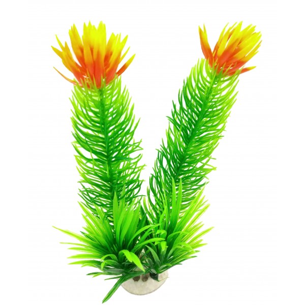 ΔΙΑΚΟΣΜΗΤΙΚΟ ΦΥΤΟ ΕΝΥΔΡΕΙΟΥ